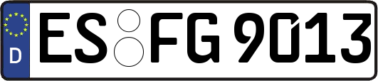 ES-FG9013