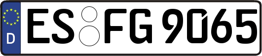 ES-FG9065