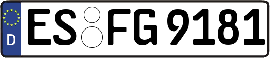 ES-FG9181