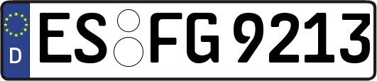 ES-FG9213