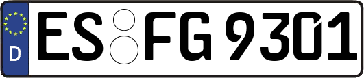 ES-FG9301