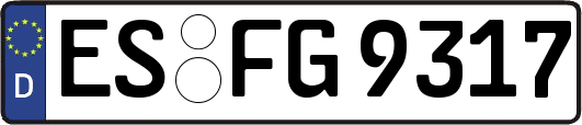 ES-FG9317