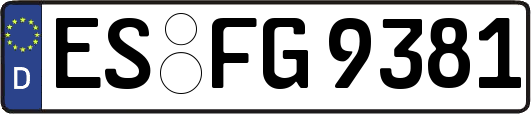 ES-FG9381