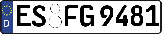 ES-FG9481