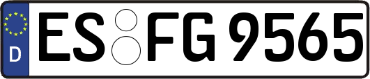 ES-FG9565