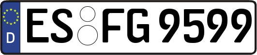 ES-FG9599