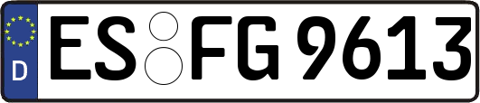 ES-FG9613