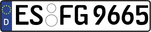 ES-FG9665
