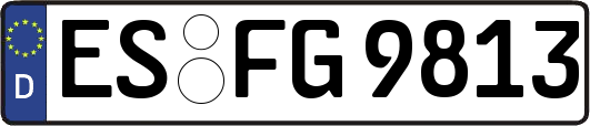 ES-FG9813