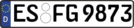 ES-FG9873