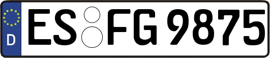 ES-FG9875
