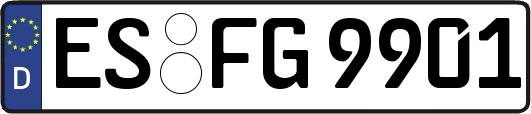 ES-FG9901