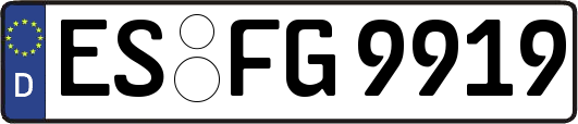 ES-FG9919