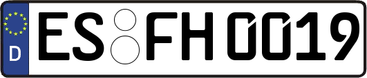 ES-FH0019