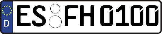 ES-FH0100