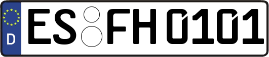 ES-FH0101