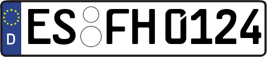 ES-FH0124