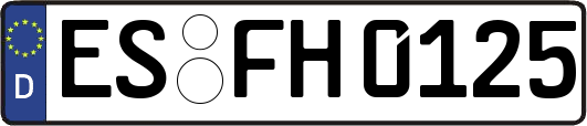 ES-FH0125
