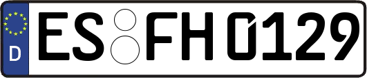 ES-FH0129