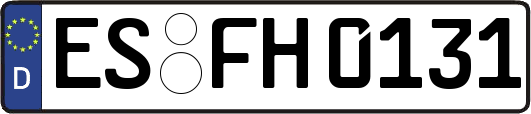 ES-FH0131