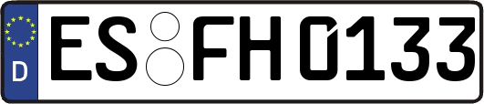 ES-FH0133