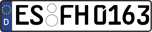 ES-FH0163