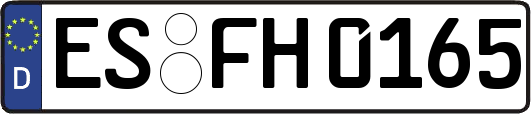 ES-FH0165