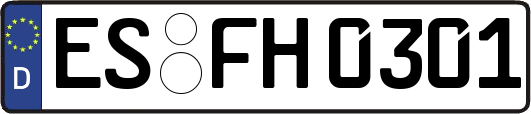 ES-FH0301