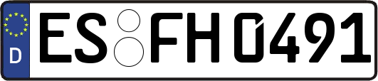 ES-FH0491