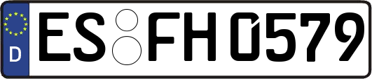 ES-FH0579