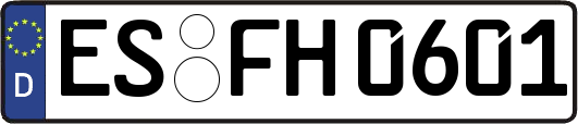 ES-FH0601