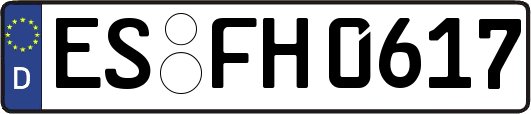 ES-FH0617
