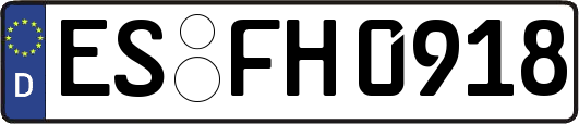 ES-FH0918