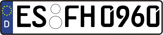 ES-FH0960
