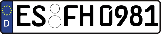 ES-FH0981