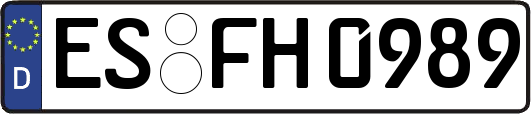 ES-FH0989