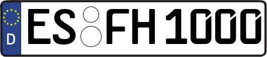 ES-FH1000