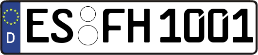 ES-FH1001