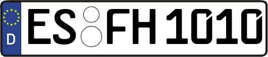 ES-FH1010