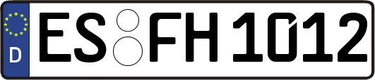 ES-FH1012