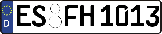 ES-FH1013