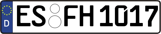 ES-FH1017