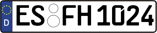 ES-FH1024
