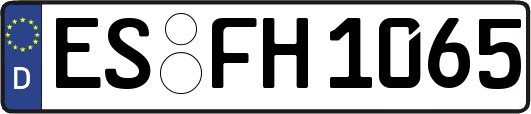 ES-FH1065