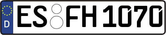 ES-FH1070