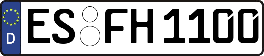 ES-FH1100