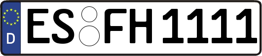 ES-FH1111