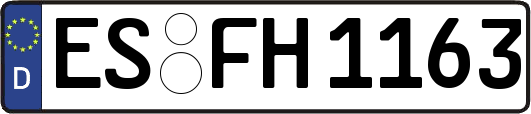 ES-FH1163
