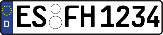ES-FH1234