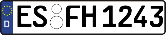 ES-FH1243